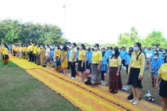 pic031