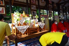 pic074