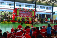 pic078
