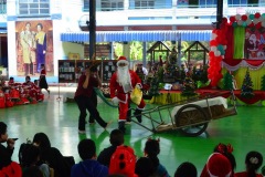 pic082
