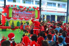 pic084