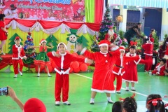 pic085