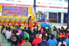 pic043