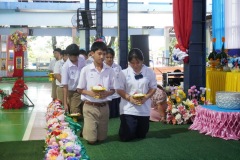 0000234_resize