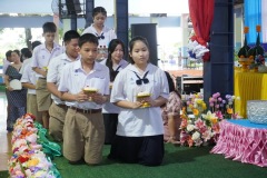 0000239_resize