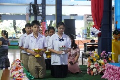 0000245_resize