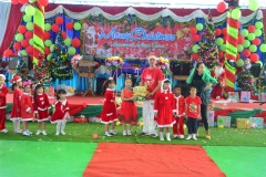 pic0076