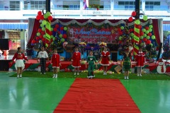 pic0079