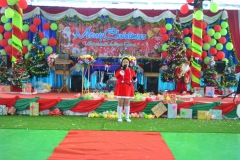 pic0087