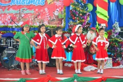 pic0221