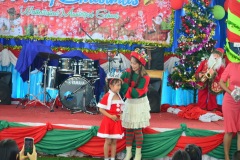 pic0226