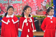 pic0234
