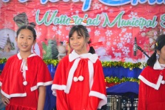 pic0235