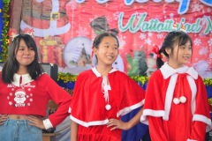 pic0236
