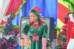 pic0238