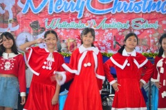 pic0241