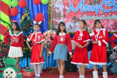pic0242