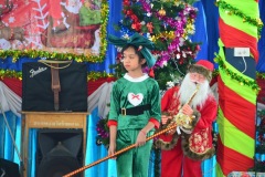 pic0245
