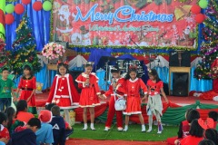 pic0252