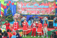 pic0254