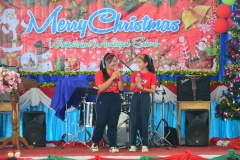 pic0260