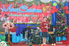 pic0262