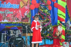 pic0264