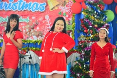 pic0273
