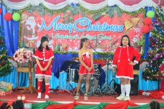 pic0290
