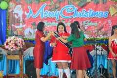 pic0294