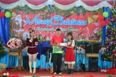 pic0317