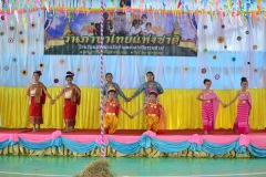 pic037