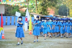 pic071
