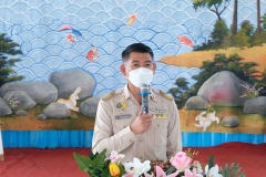 pic003-1