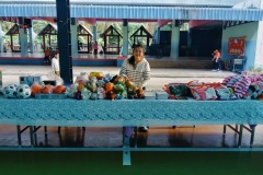 IMG_061