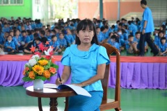 pic067