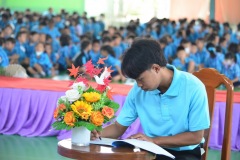 pic078