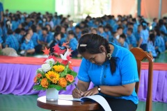 pic084