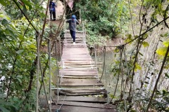 image00256-1