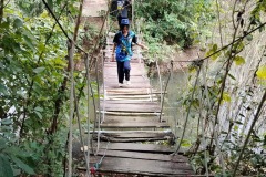 image00271-1