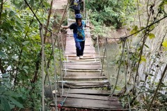 image00272-1