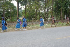 image00226