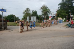 image00253