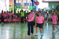 pic3178