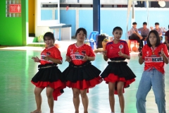 pic3237