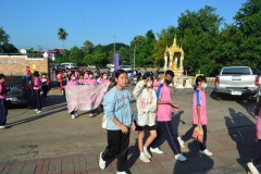 pic046