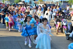 pic067