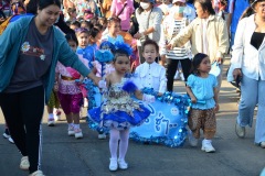 pic068