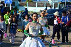 pic083