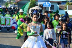 pic084